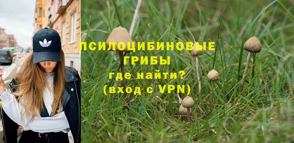 мдпв Бронницы
