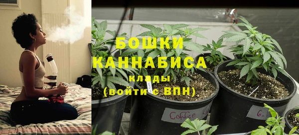 мдпв Бронницы