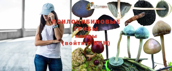 дмт Струнино